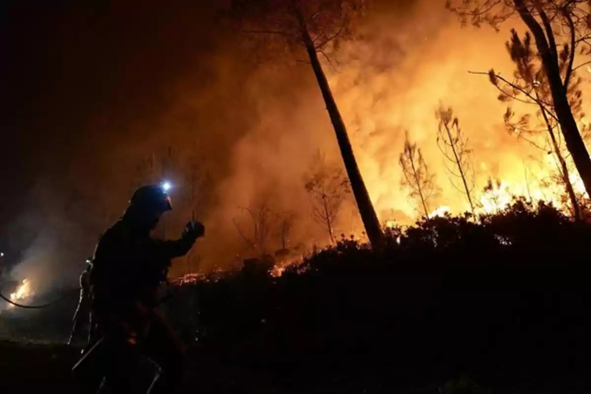 Un bombero con casco y linterna lucha contra un incendio forestal de gran magnitud durante la noche rodeado de llamas y humo entre árboles. Un bombero con casco y linterna lucha contra un incendio forestal de gran magnitud durante la noche rodeado de llamas y humo entre árboles.