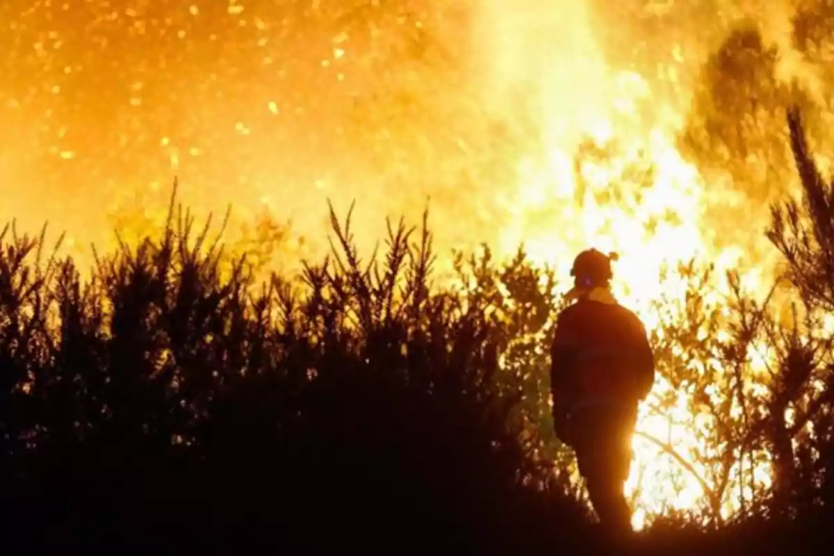 Un bombero observa un gran incendio forestal rodeado de vegetación y llamas intensas
