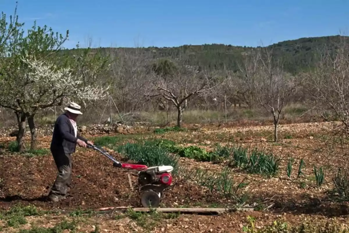 Persona trabajando la tierra con una motoazada en un huerto rodeado de árboles y vegetación bajo un cielo despejado