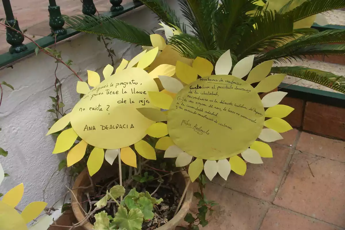 Dos girasoles hechos de papel amarillo con mensajes escritos a mano, colocados en una maceta junto a una planta y sobre un suelo de baldosas. Dos girasoles hechos de papel amarillo con mensajes escritos a mano, colocados en una maceta junto a una planta y sobre un suelo de baldosas.