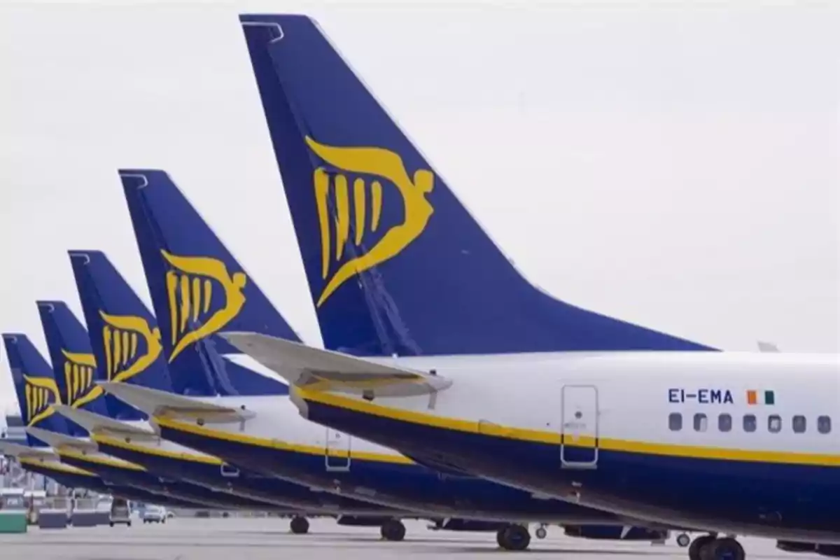Varios aviones alineados en pista con cola azul y logotipo amarillo de una aerolínea. Varios aviones alineados en pista con cola azul y logotipo amarillo de una aerolínea.