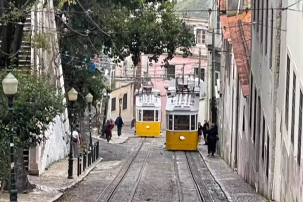 Tranvías amarillos subiendo una calle empinada con personas caminando a los lados y árboles alrededor Tranvías amarillos subiendo una calle empinada con personas caminando a los lados y árboles alrededor