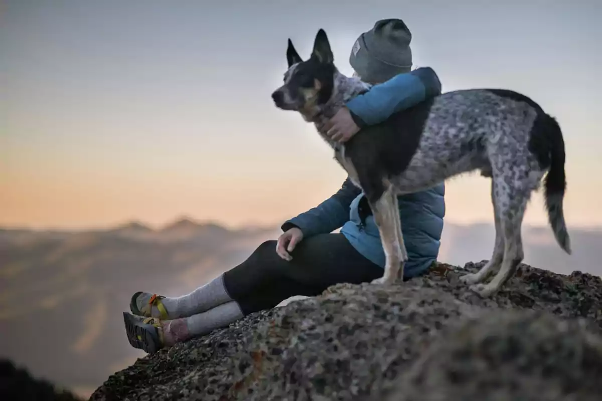 Persona sentada en una roca abrazando a un perro mientras observan el paisaje montañoso al atardecer
