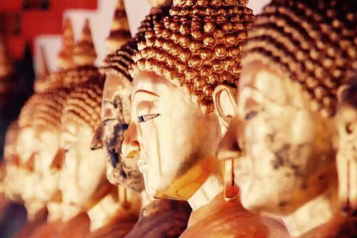 Estatuas doradas de Buda alineadas en un templo.