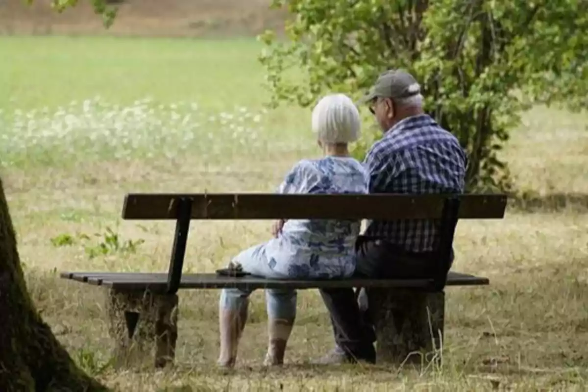 Una pareja de personas mayores sentada en un banco en un parque, rodeada de árboles y vegetación.
