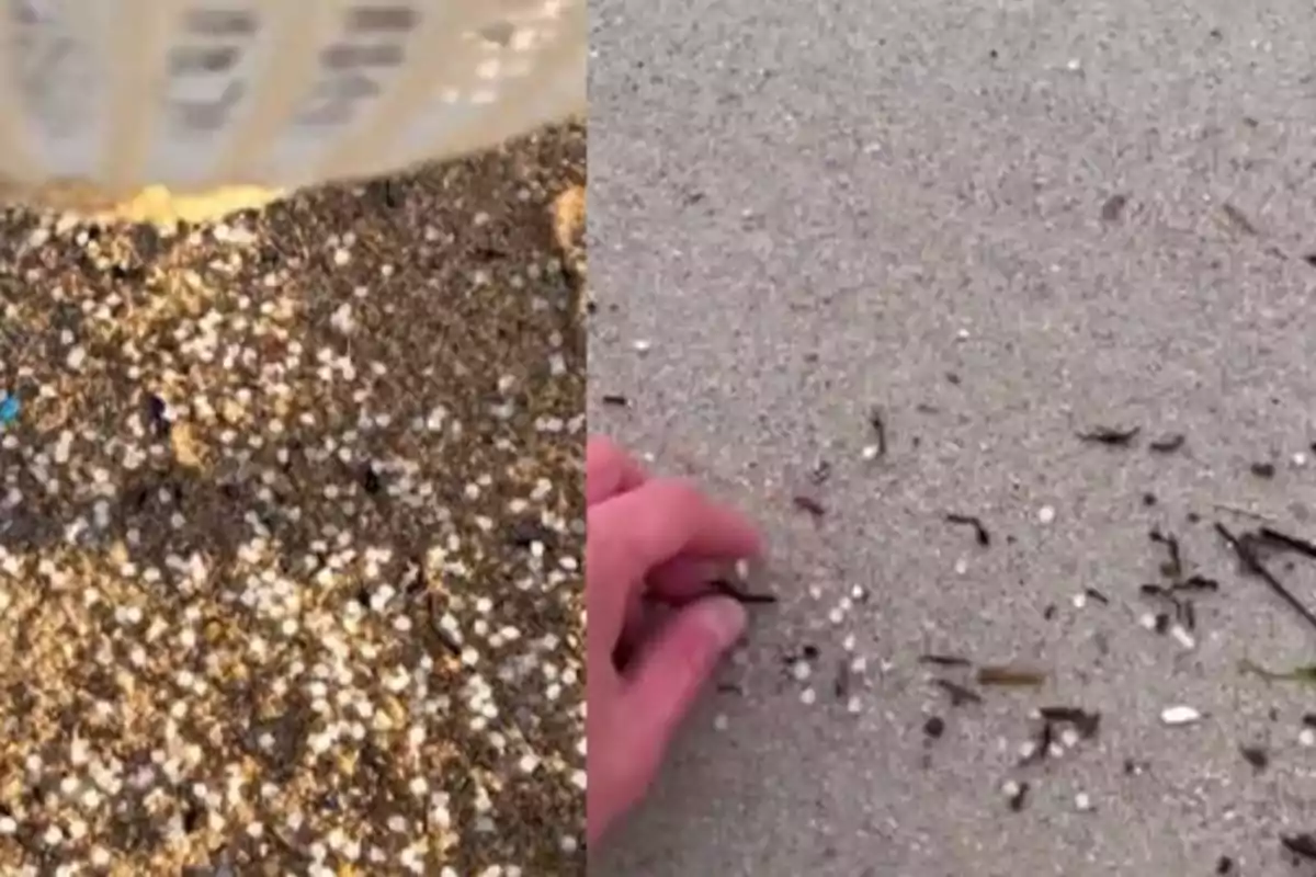 Primer plano de arena en la playa con pequeñas partículas blancas y una mano recogiendo algunas de ellas.