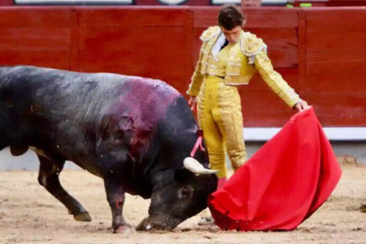 Un torero vestido de amarillo sostiene una muleta roja mientras un toro embiste en una plaza de toros.