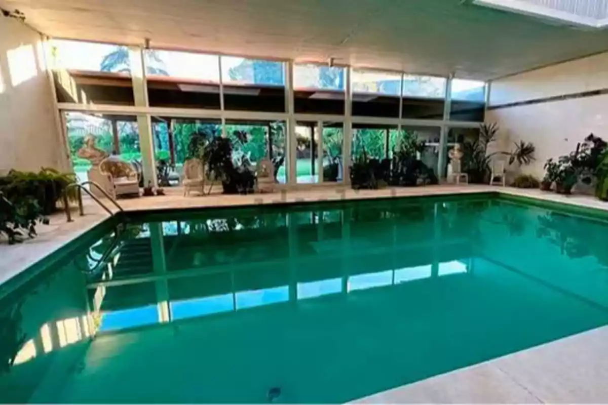 Piscina interior con agua verde rodeada de plantas y sillas de mimbre, con grandes ventanales que permiten la entrada de luz natural.