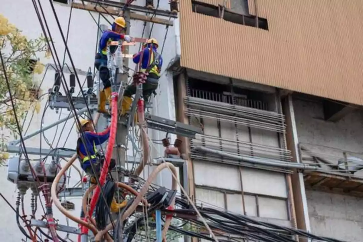 Trabajadores de la construcción reparando cables eléctricos en un poste frente a un edificio.