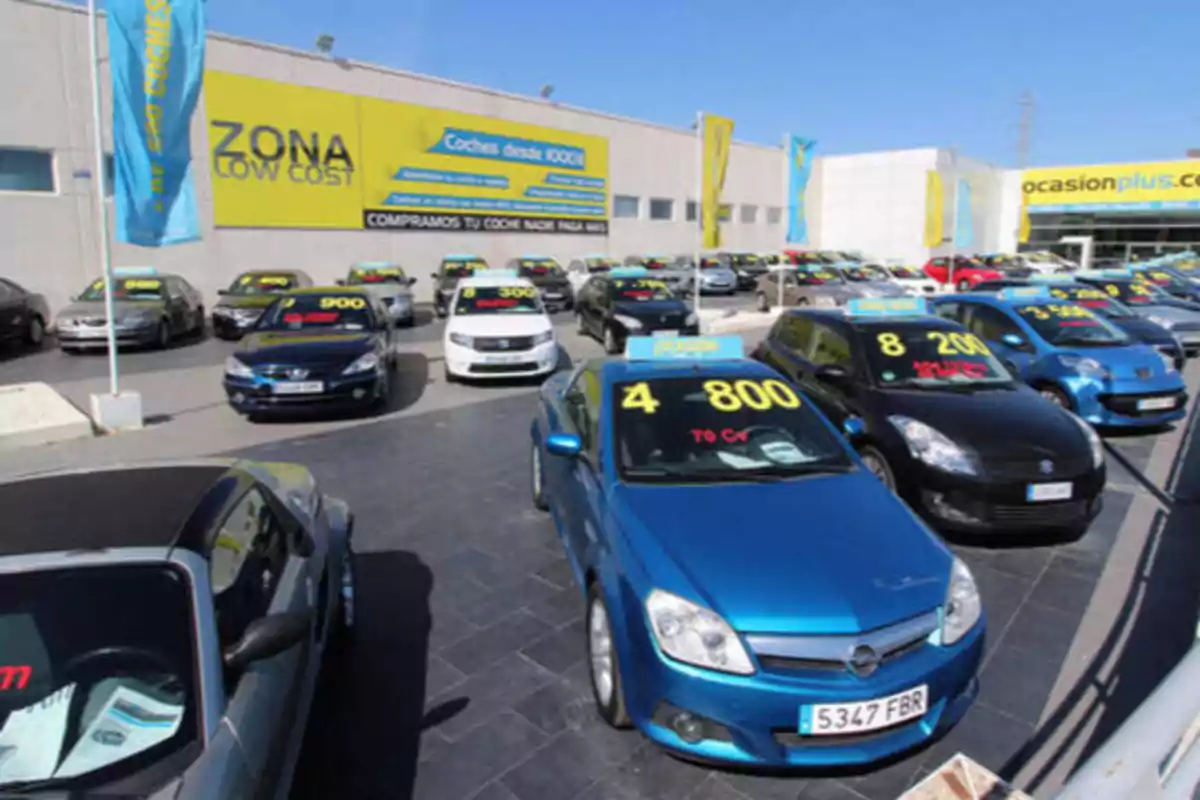 Un lote de autos usados en venta con precios visibles en los parabrisas, en un concesionario con un gran cartel amarillo que dice "ZONA LOW COST" y "Coches desde 1000€".