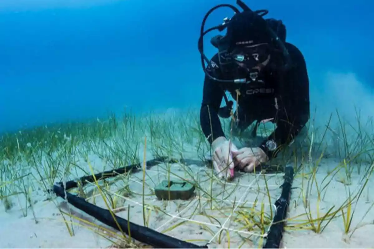 Un buzo trabajando en el fondo del mar con equipo de buceo y herramientas de investigación.