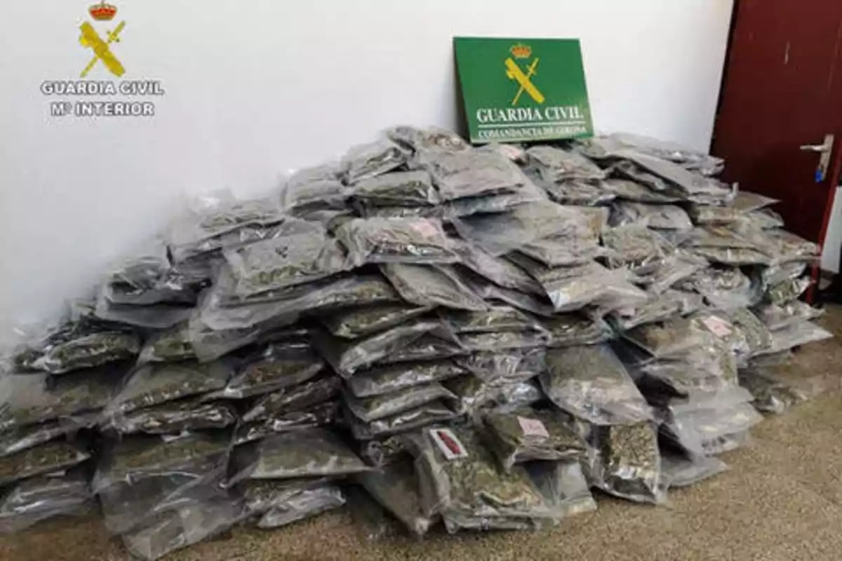 La Guardia Civil Realiza la Primera Gran Intervención de Droga