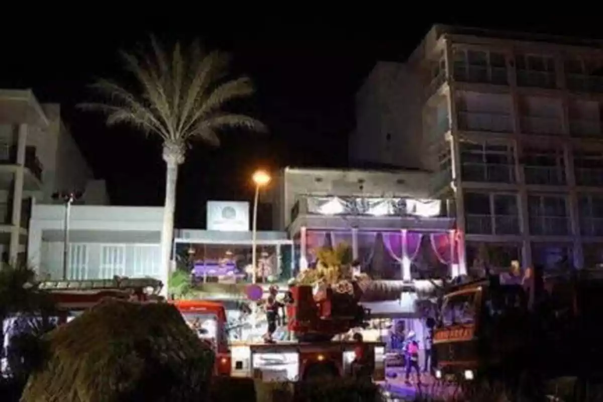 Edificio iluminado por la noche con una palmera en primer plano y vehículos de emergencia en la calle.