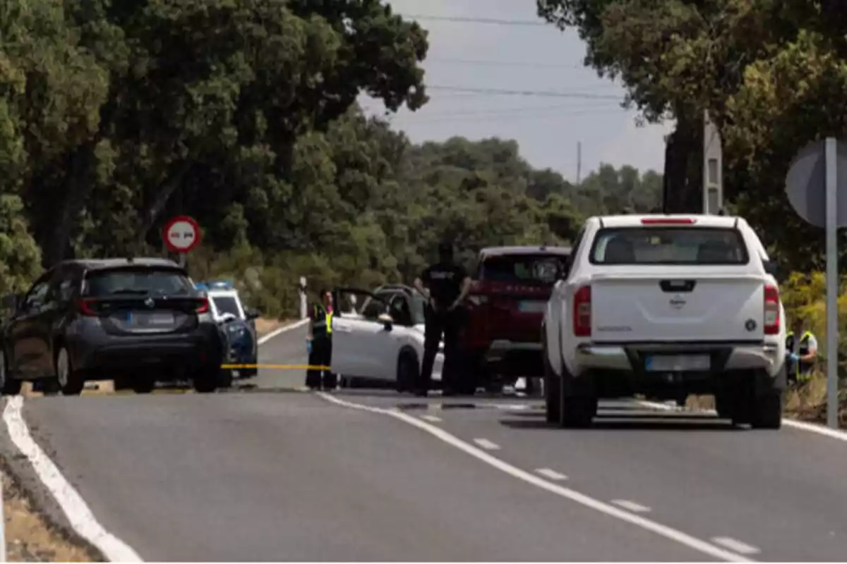 Varias personas y vehículos detenidos en una carretera rodeada de árboles.