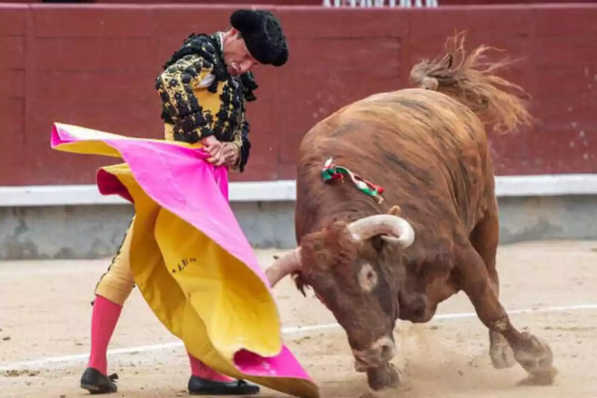 Un torero con traje tradicional sostiene un capote mientras un toro embiste en una plaza de toros.