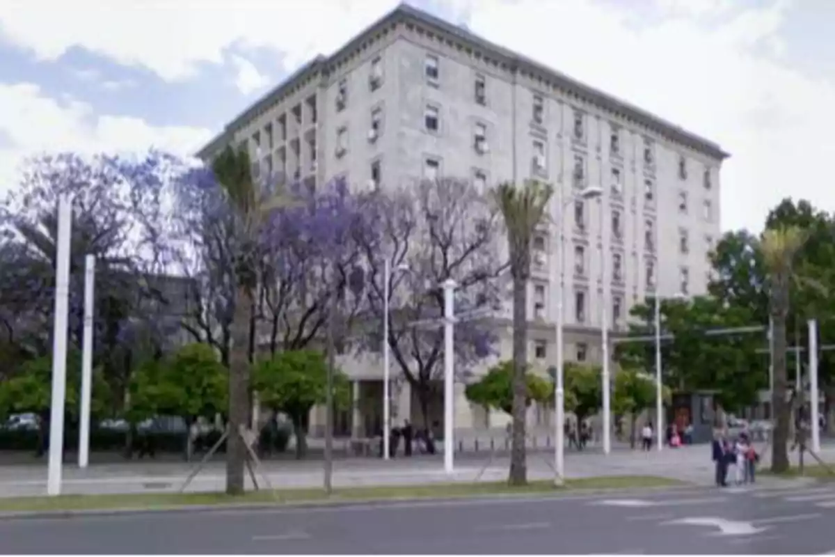 Edificio de varios pisos rodeado de árboles y palmeras en una calle concurrida.