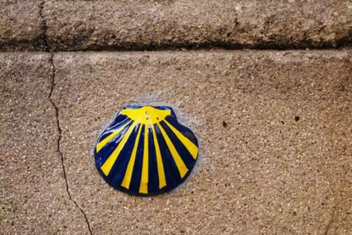 Concha amarilla y azul pintada en el suelo de cemento.