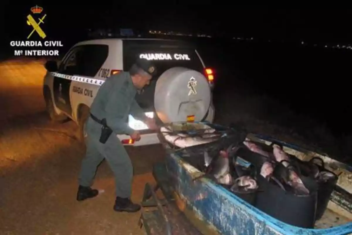 Un agente de la Guardia Civil inspecciona una embarcación llena de peces durante la noche, con un vehículo de la Guardia Civil estacionado cerca.