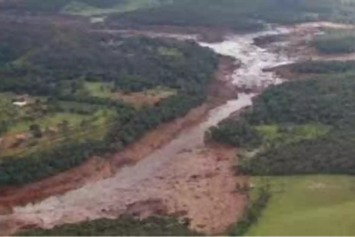 Vista aérea de un área afectada por un deslizamiento de tierra en una región forestal.