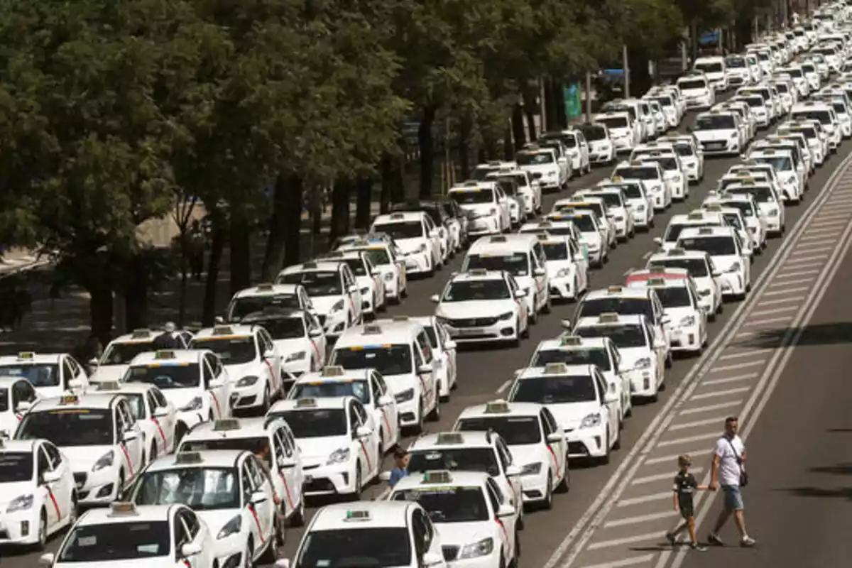 Una larga fila de taxis blancos estacionados en una calle con árboles y dos personas cruzando la calle.