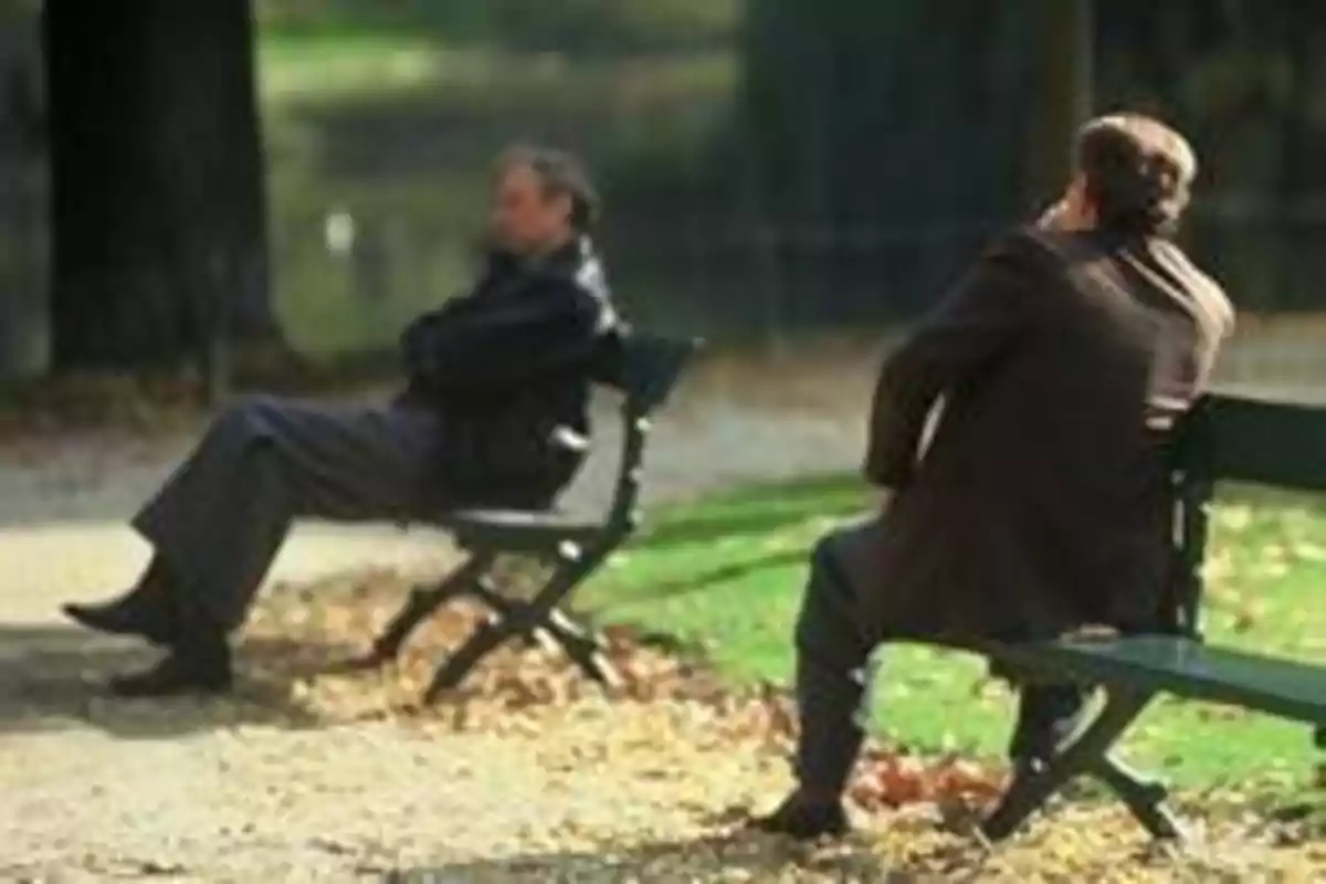 Dos hombres sentados en bancos separados en un parque.