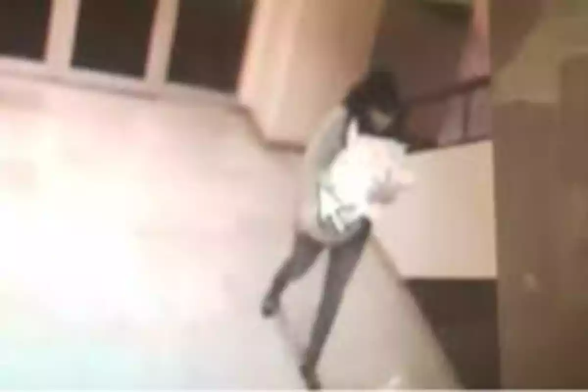 Una persona caminando en un pasillo mientras sostiene un objeto blanco.