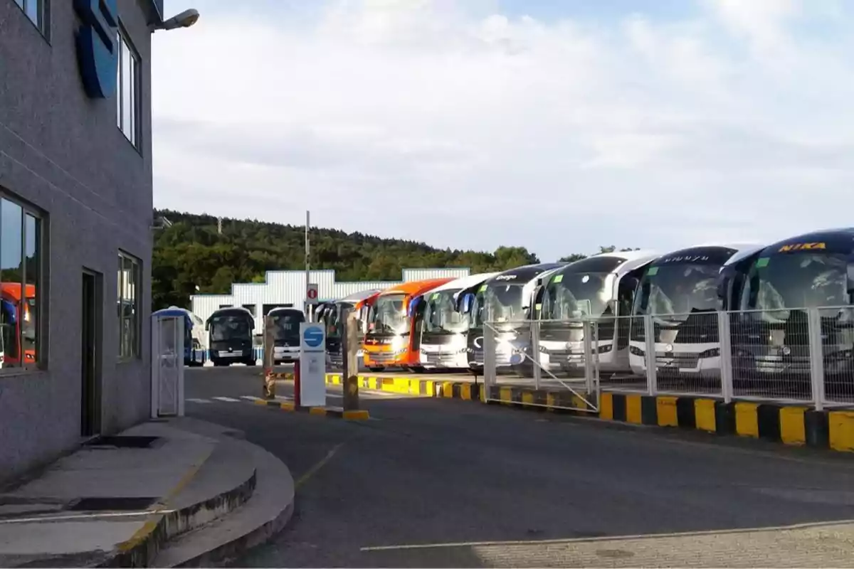 Una fila de autobuses estacionados detrás de una cerca en un estacionamiento, con un edificio gris a la izquierda y un paisaje de árboles al fondo.