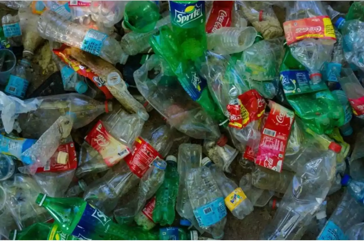 Restos plásticos de botellas de Coca-Cola