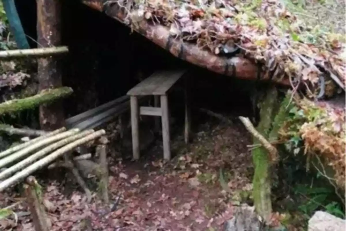 Refugio rústico en el bosque con techo de ramas y mesa de madera en el interior.