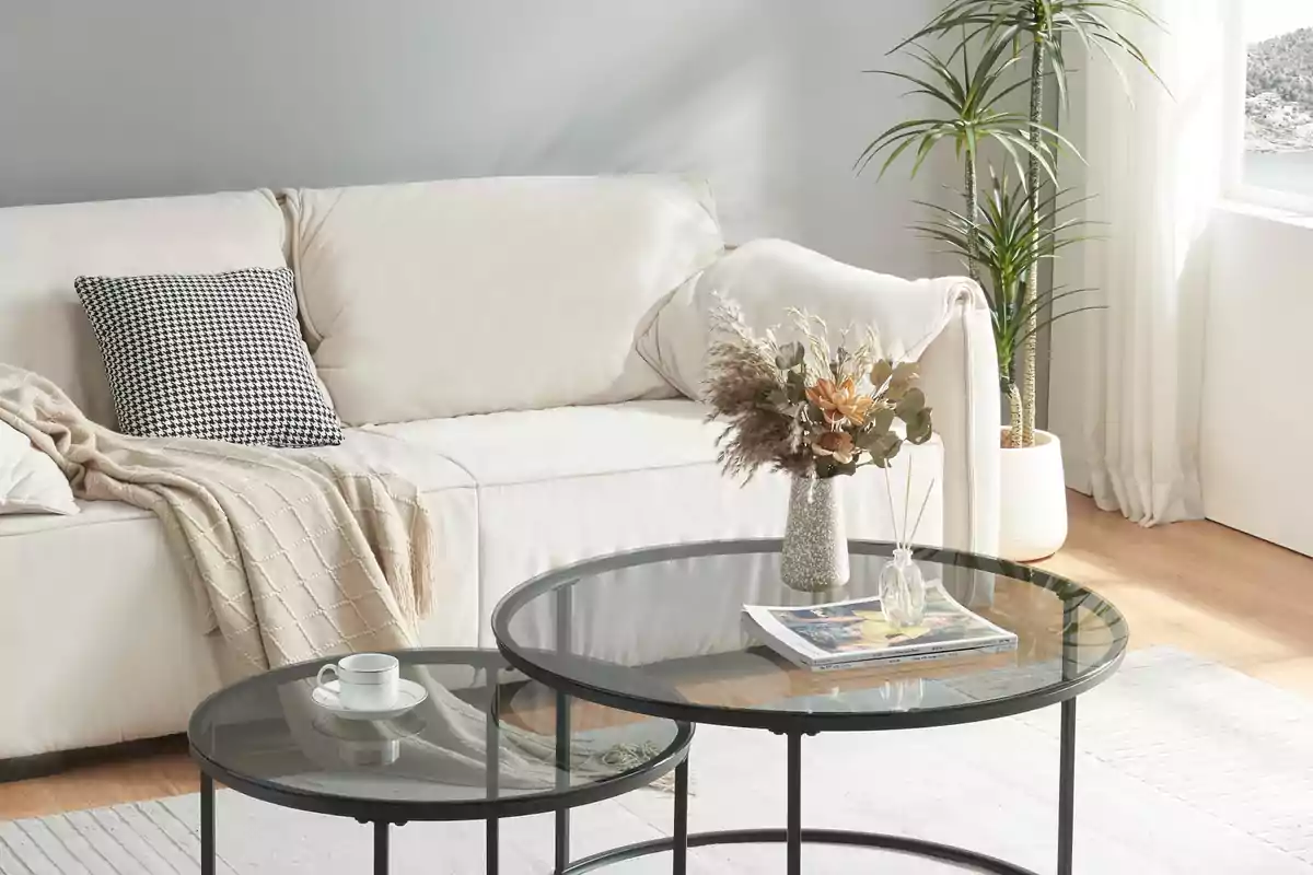 Sala de estar moderna con sofá beige, cojín a cuadros, manta, mesas de centro de vidrio con una taza, revistas y un jarrón con flores secas, junto a una planta alta en una maceta blanca.
