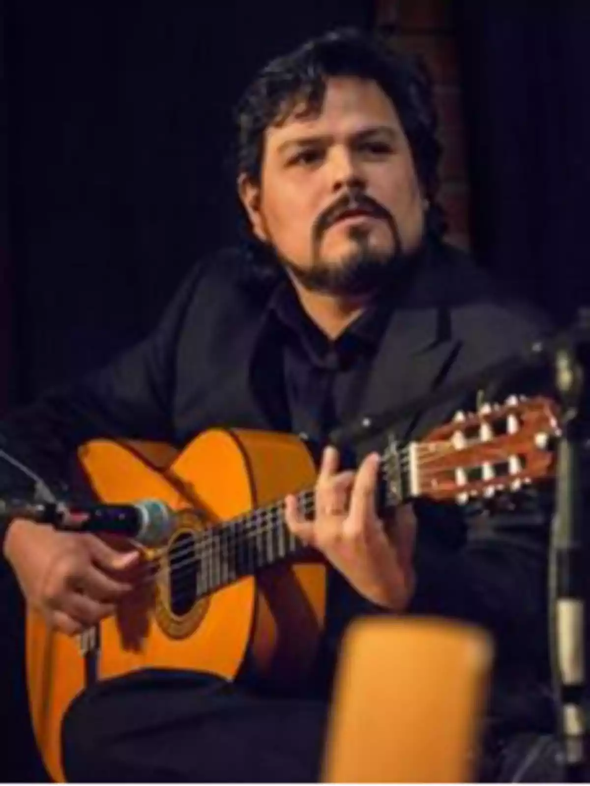 Hombre con barba tocando una guitarra en un escenario.