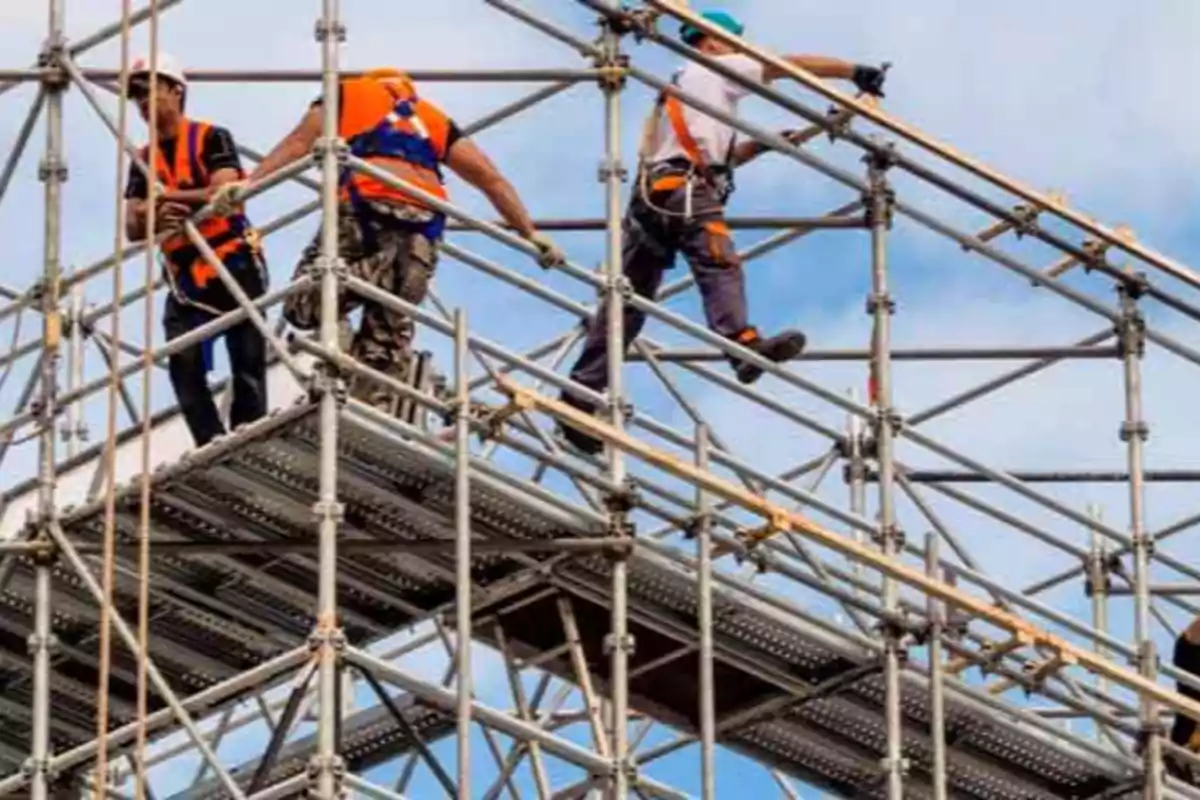 Trabajadores de la construcción con equipo de seguridad en un andamio metálico.