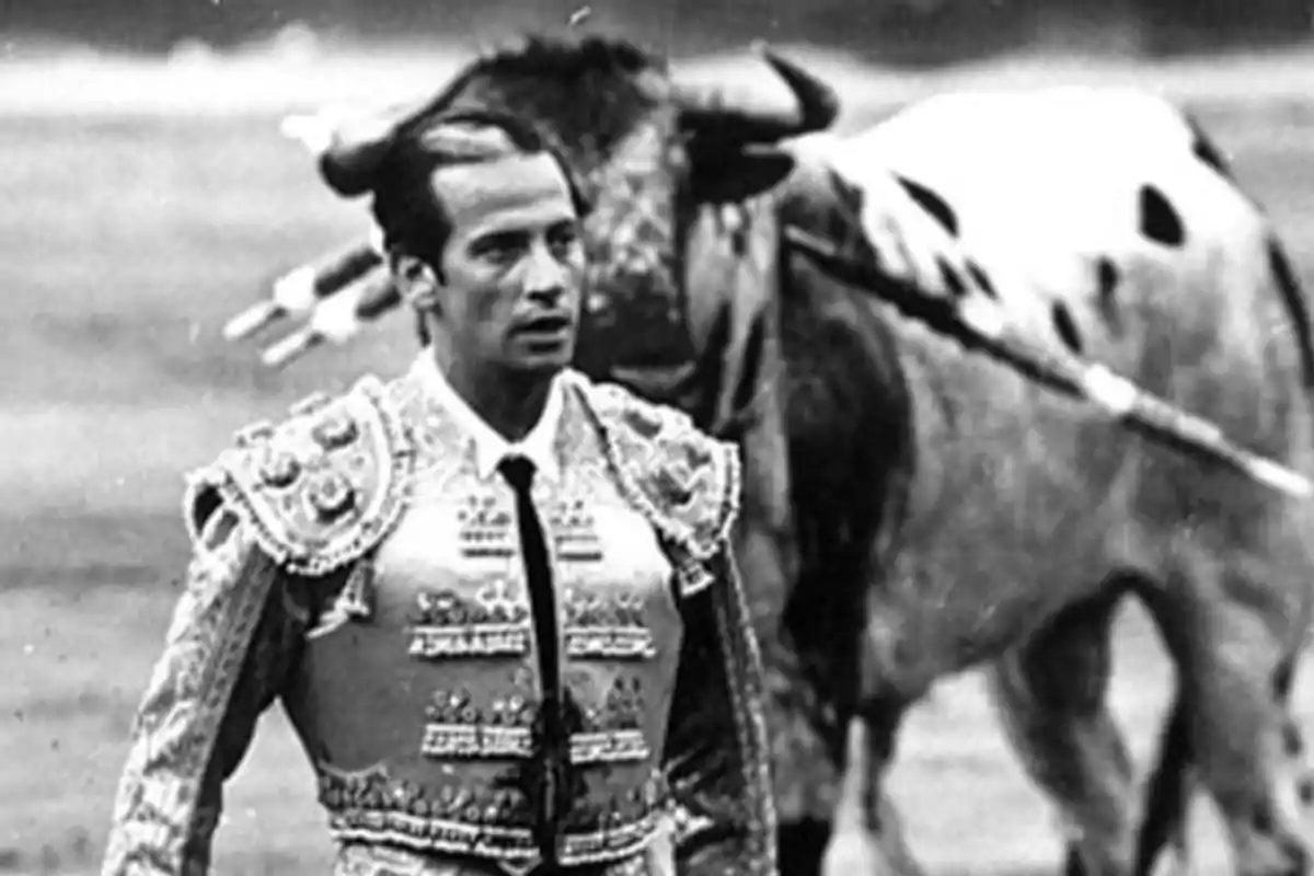 Un torero vestido con traje de luces camina en una plaza de toros mientras un toro se encuentra en el fondo.