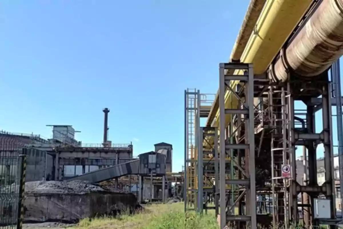 Vista de una fábrica industrial con estructuras metálicas, tuberías grandes y vegetación creciendo alrededor bajo un cielo despejado Vista de una fábrica industrial con estructuras metálicas, tuberías grandes y vegetación creciendo alrededor bajo un cielo despejado