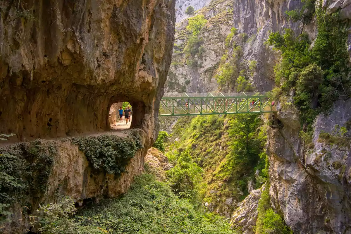 Un grupo de personas camina por un sendero tallado en la roca, mientras otras cruzan un puente metálico en un paisaje montañoso lleno de vegetación.