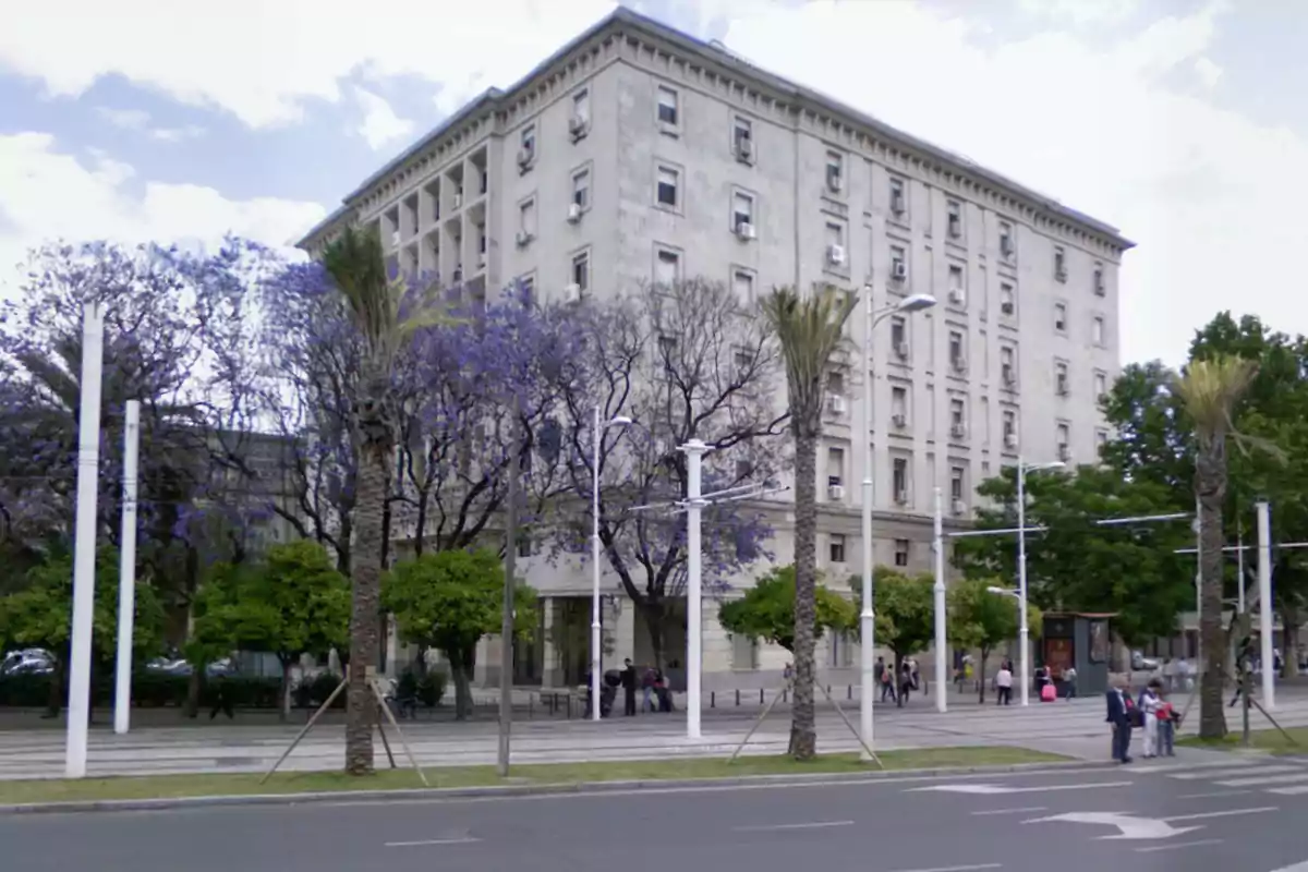 Edificio de varios pisos rodeado de árboles y palmeras en una avenida concurrida.