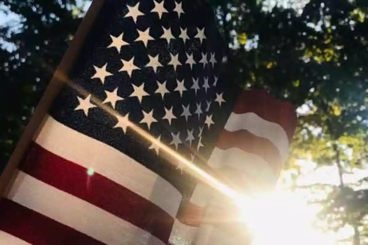 Bandera de Estados Unidos ondeando con el sol brillando a través de los árboles.