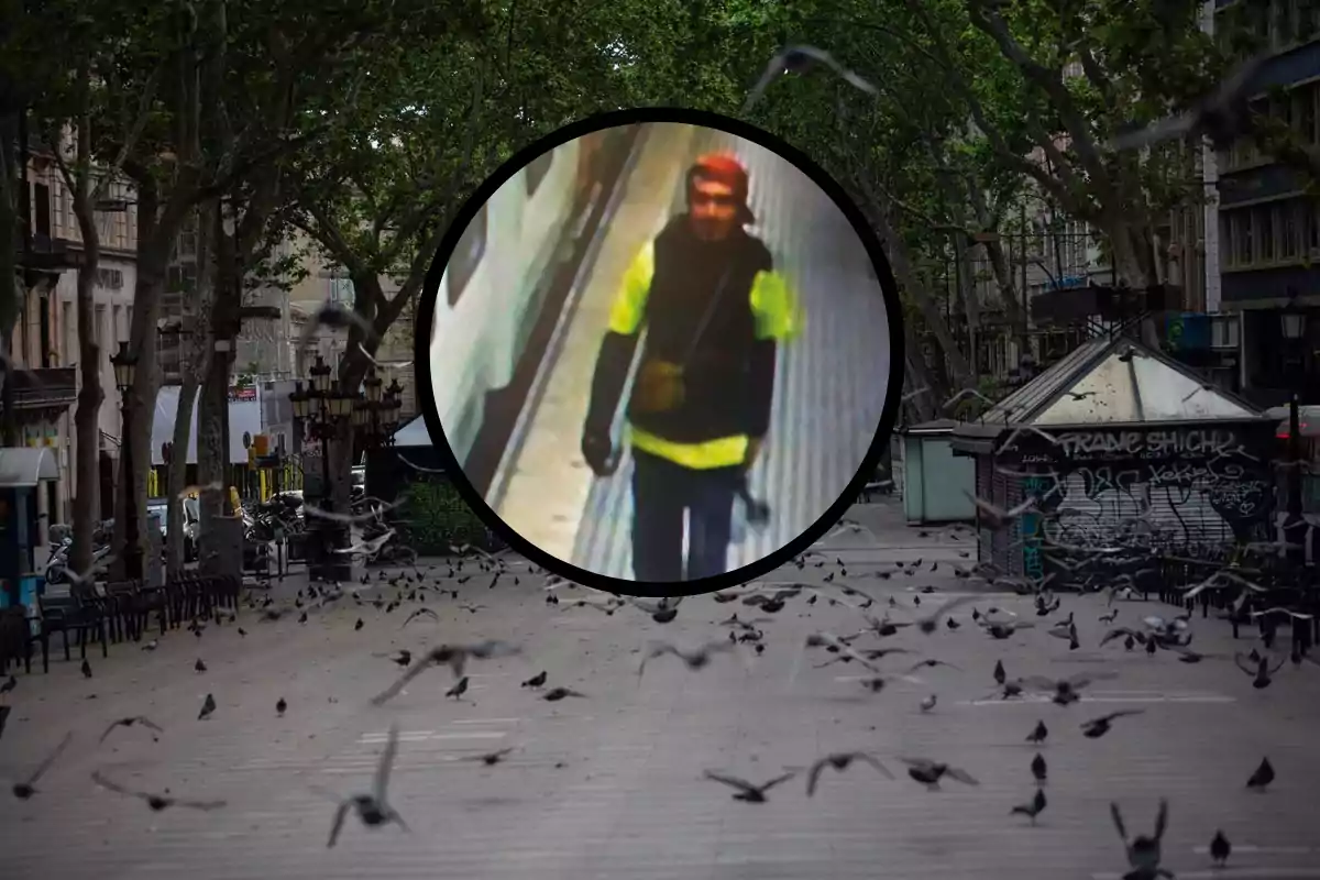 Una calle vacía con árboles y palomas volando, con un recuadro que muestra una imagen ampliada de una persona caminando.