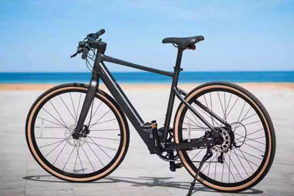 Bicicleta negra de diseño moderno estacionada frente al mar en un día soleado.