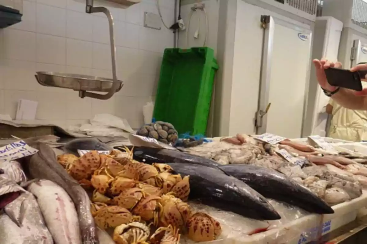 Puesto de mariscos y pescados frescos en un mercado con una persona tomando una foto.