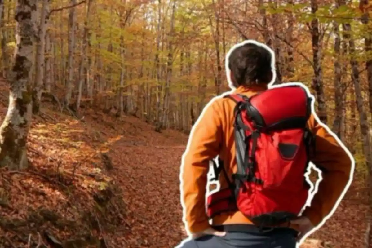 Persona con mochila roja observando un bosque en otoño.