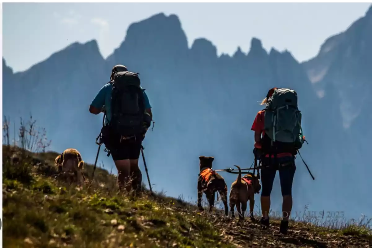 Dos personas con mochilas grandes y bastones de senderismo caminan por un sendero de montaña acompañadas de tres perros, con un paisaje de montañas al fondo.