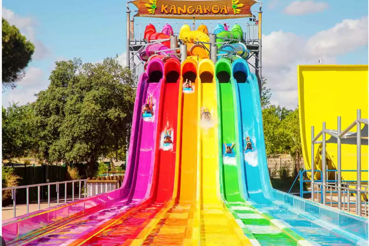 Toboganes de agua de colores brillantes en un parque acuático con personas deslizándose.