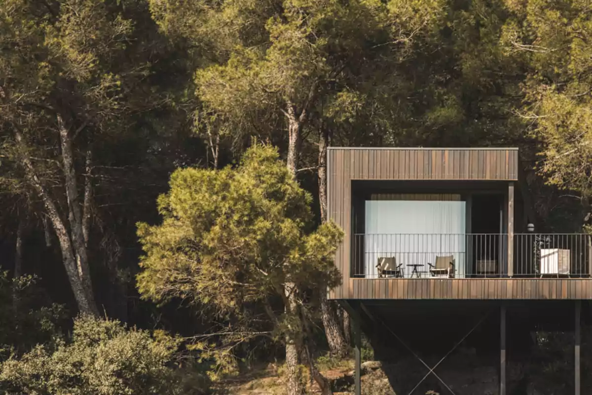 Una casa moderna de madera en medio de un bosque con árboles altos y frondosos.