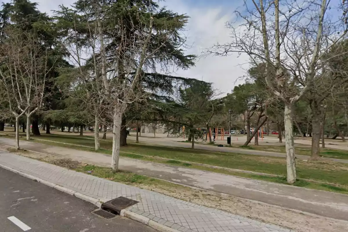 Una imagen de un parque con árboles y una acera pavimentada.