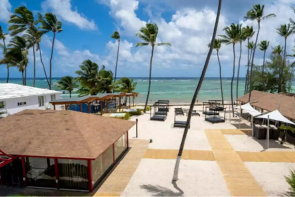 Vista de una playa tropical con palmeras, cabañas y tumbonas frente al mar bajo un cielo azul con nubes.