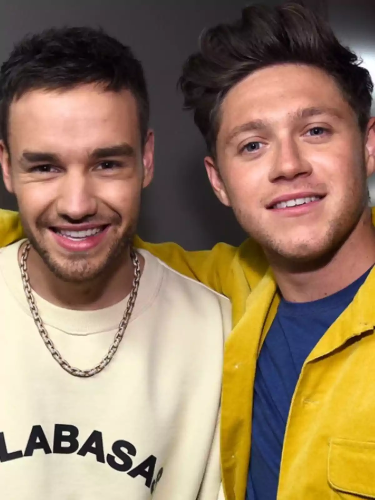 Los cantantes Liam Payne y Niall Horan