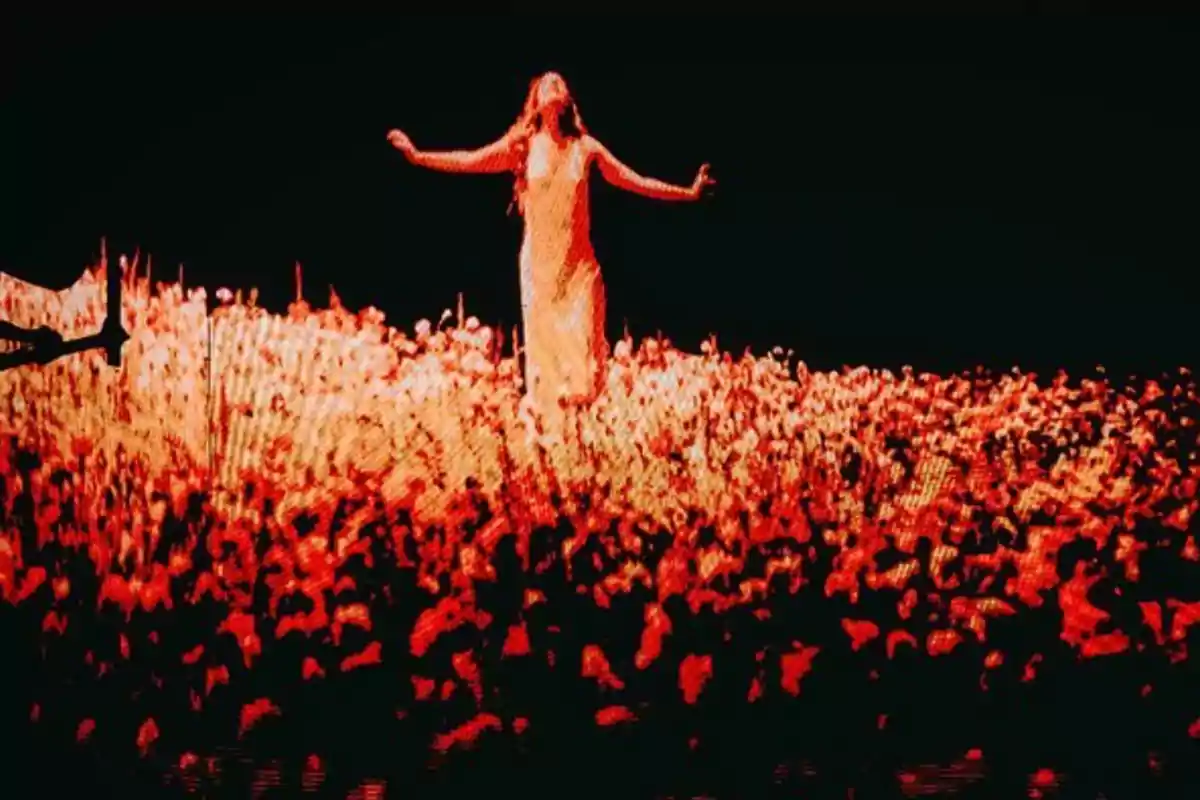 Una persona con un vestido claro está de pie en un campo de flores rojas bajo un cielo oscuro.