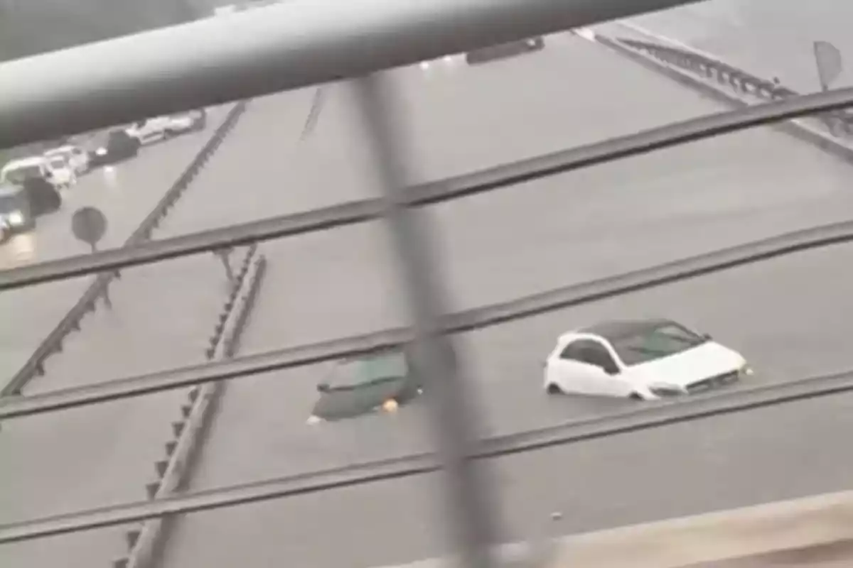 Coches parcialmente sumergidos en una carretera inundada durante una fuerte lluvia.