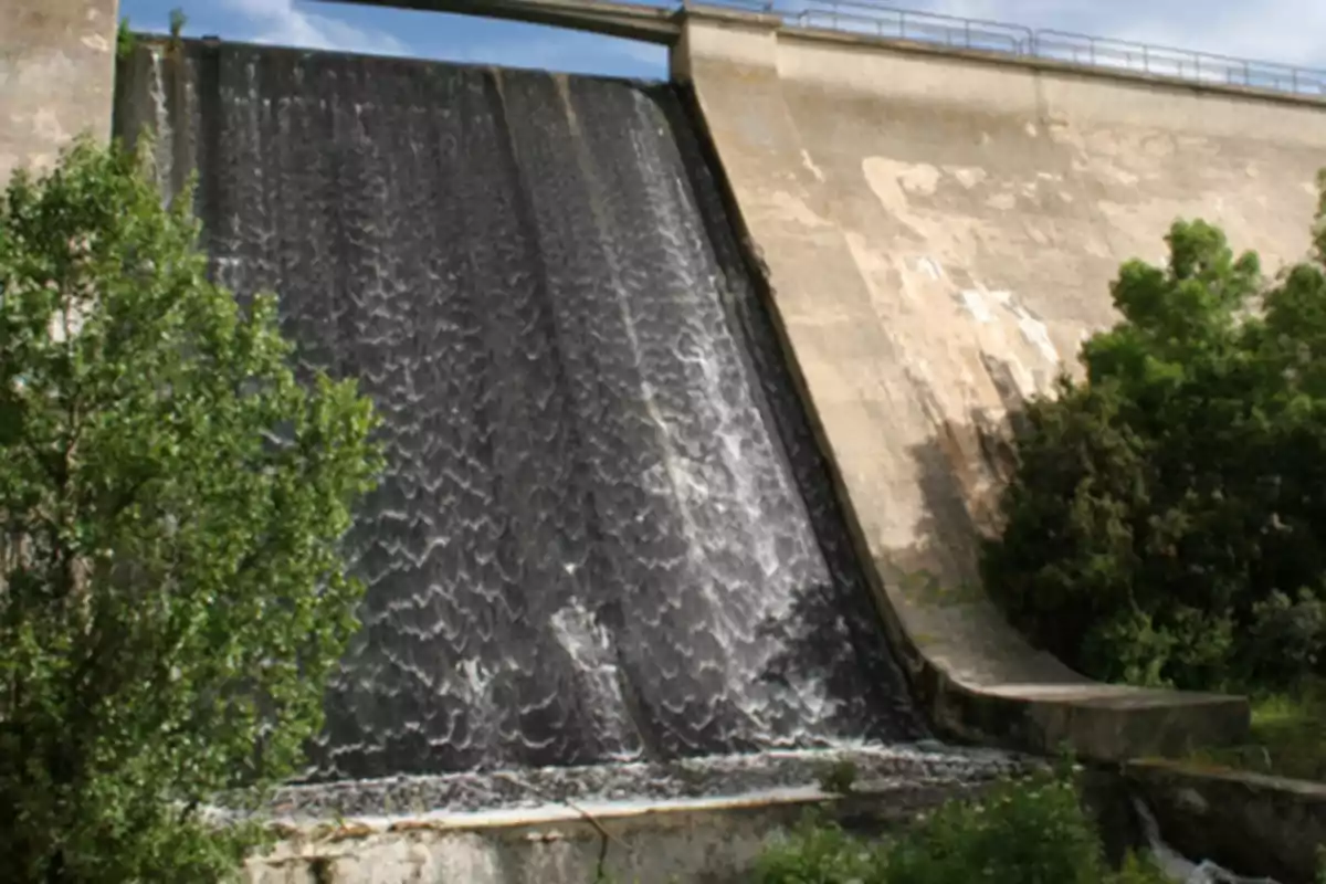 Una presa con agua fluyendo por su vertedero rodeada de vegetación.